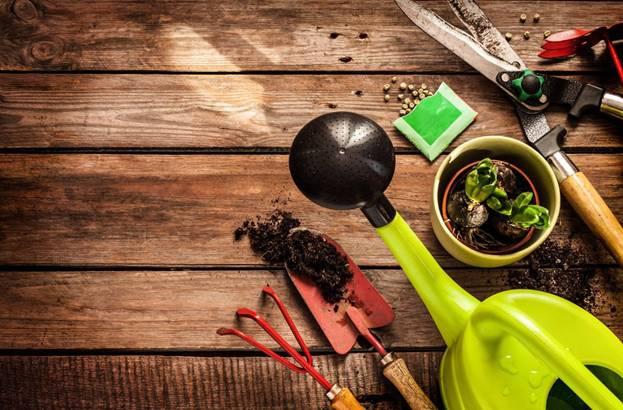 Думский комитет одобрил законопроект о садоводах и дачниках
